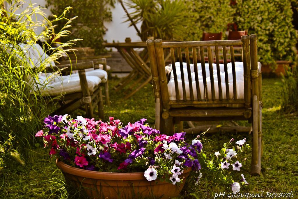 Bed and Breakfast Albarosa Ruvo di Puglia Exterior foto
